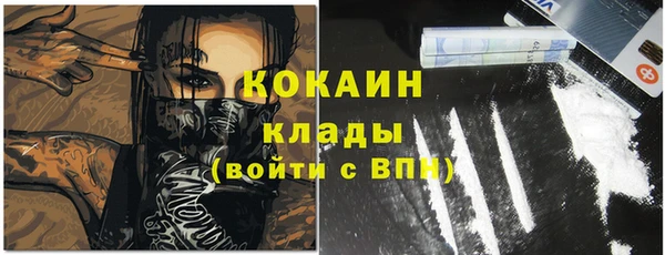 гашик Алзамай