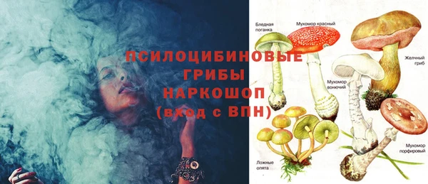 хмурый Алексеевка
